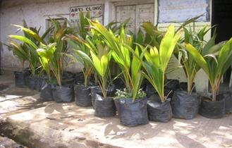 aai caretaker 4 anniversary (1)